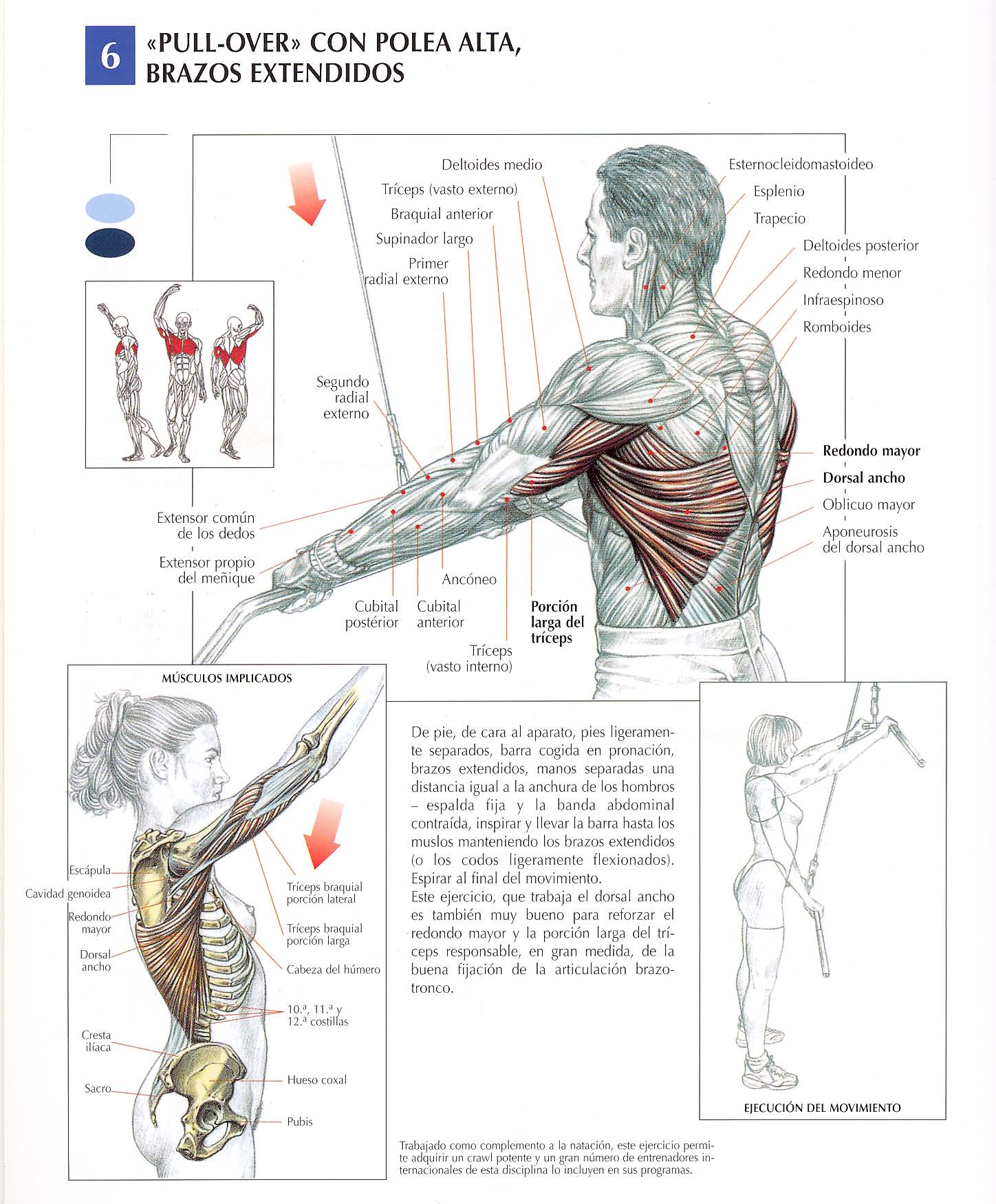 Description of exercise 6: Pullover with Cable