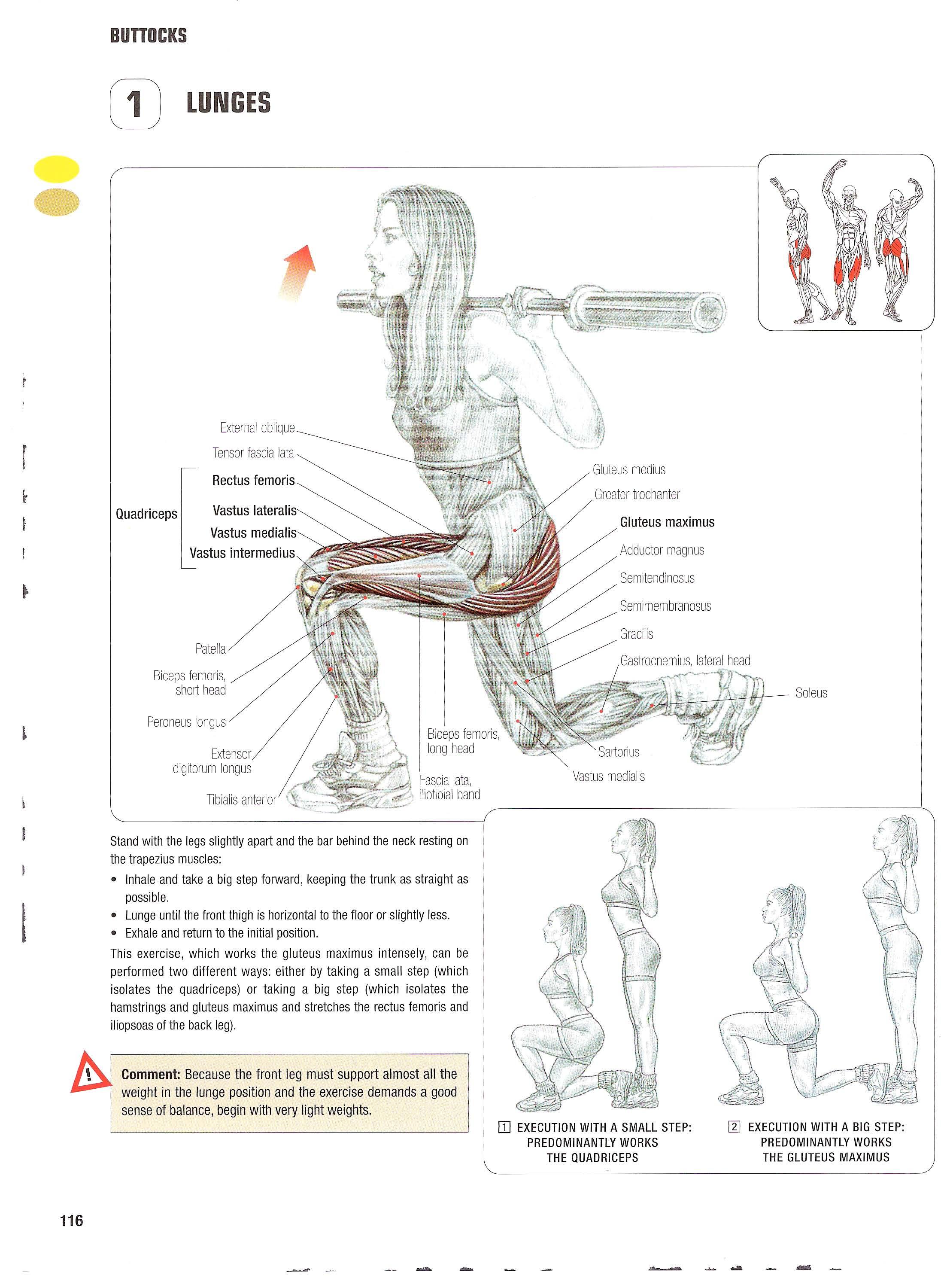 Lunges exercise