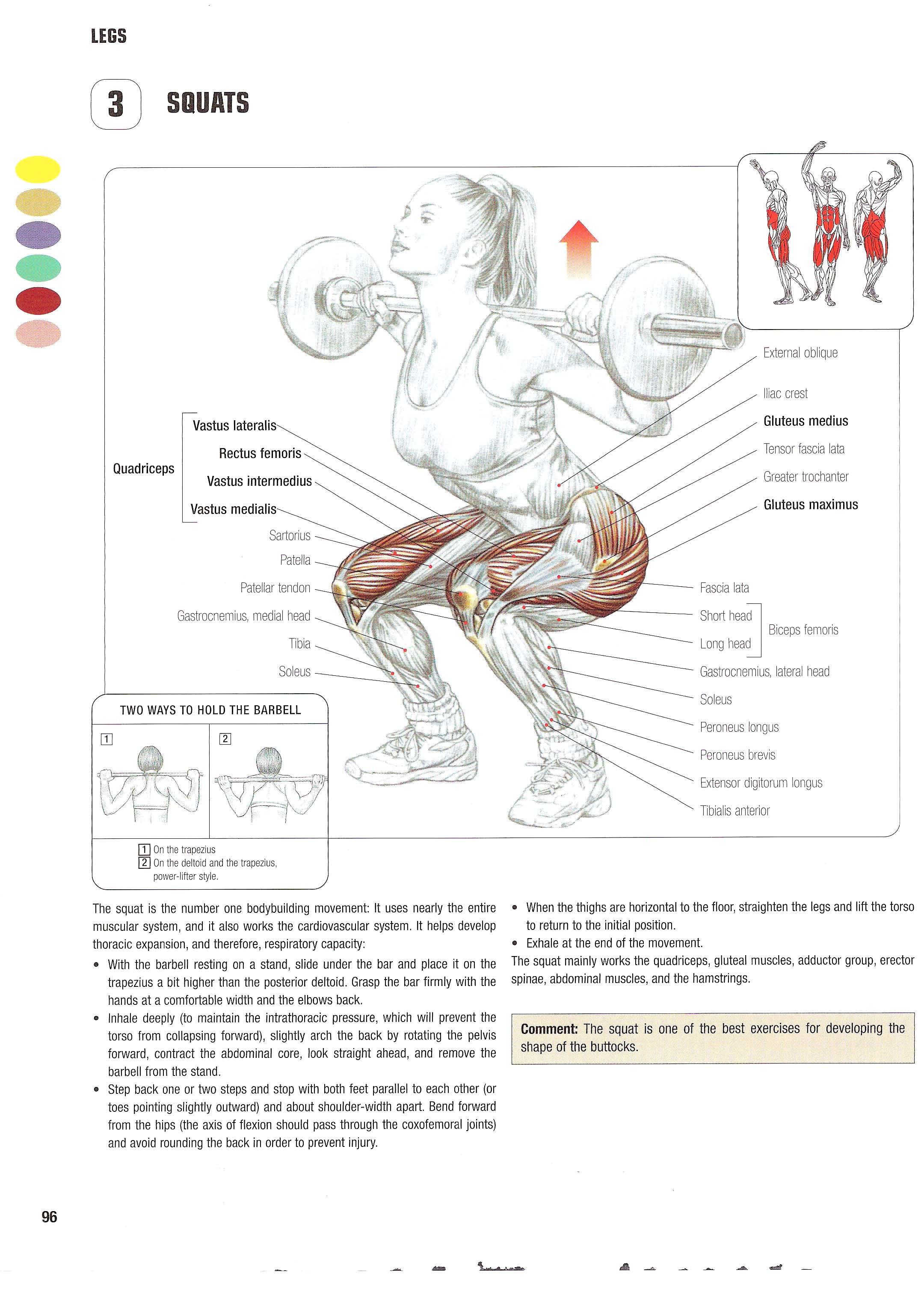 Basic Squat exercise