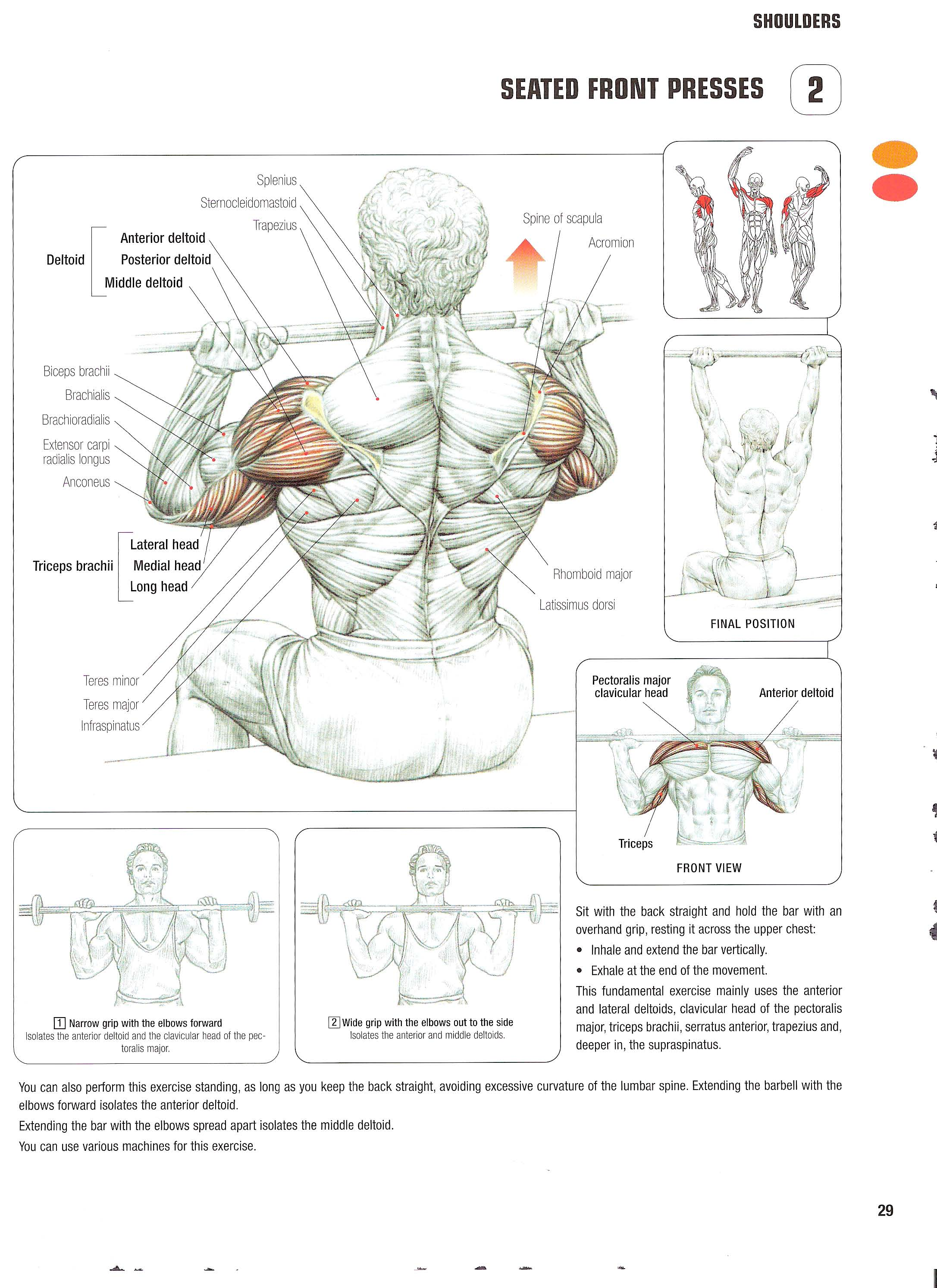 Barbell front press exercise