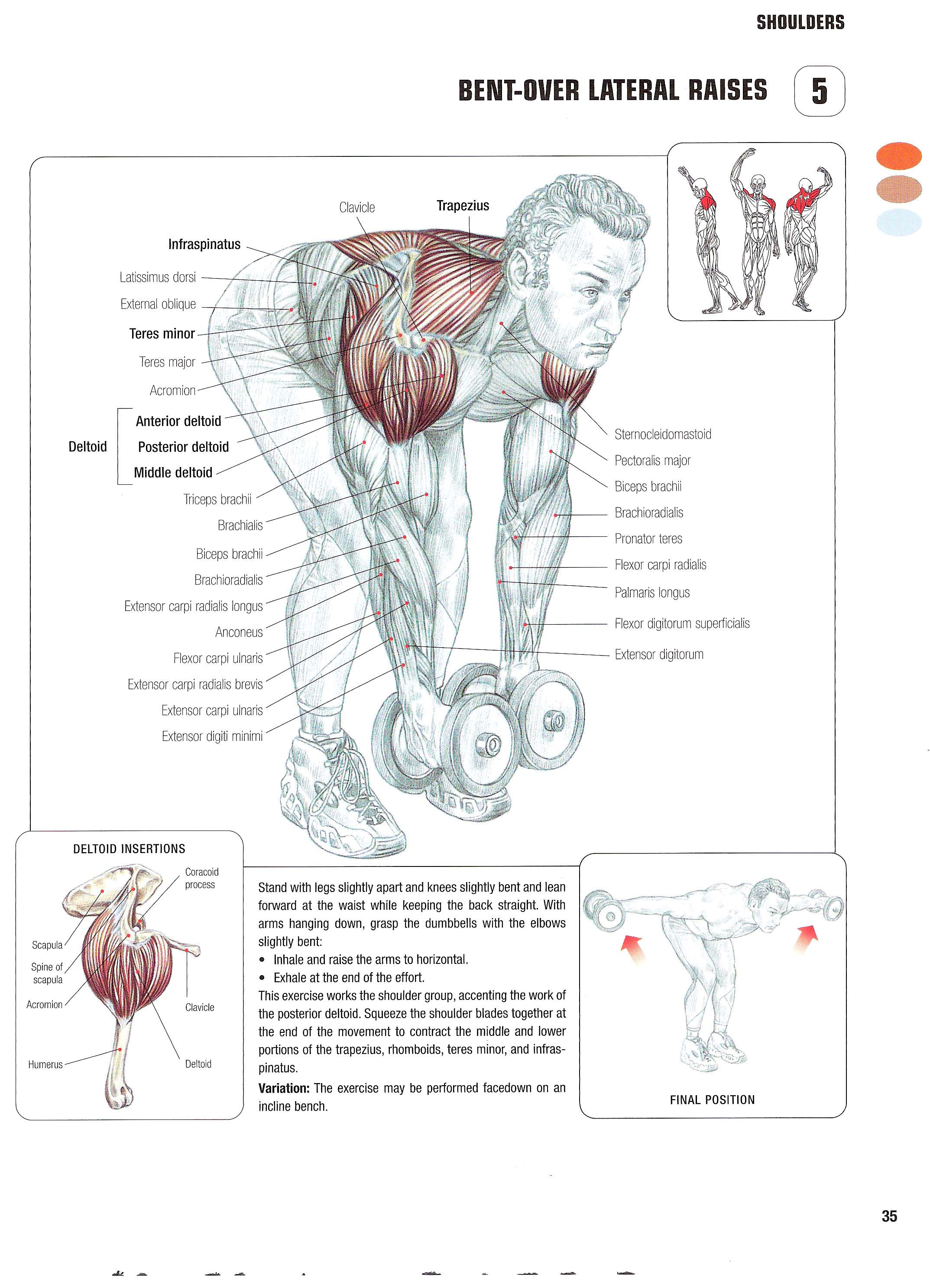 Incline lateral raises exercise