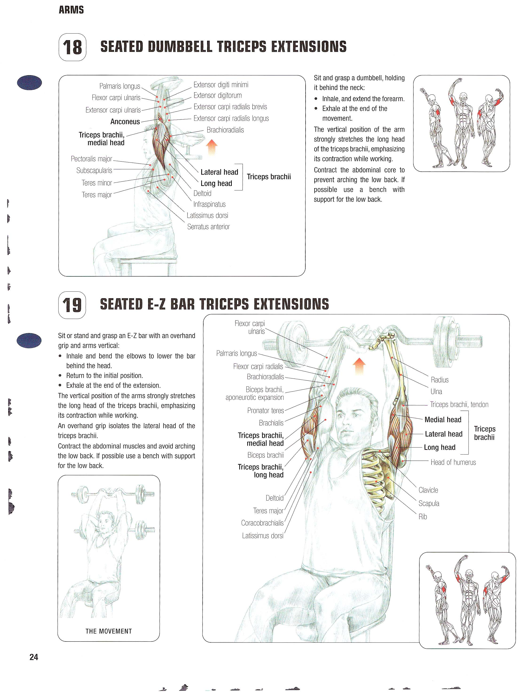 Overhead press exercise